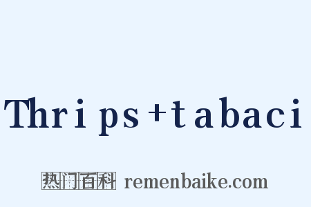 Thrips tabaci是什么意思的图片